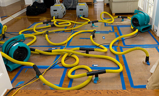 Professional Burst Pipe Water Damage technician working in Sausalito, CA